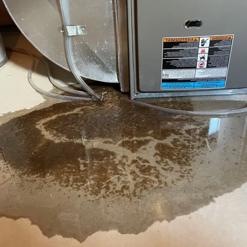 Pipe Burst and Leak Restoration in Clay Center, KS